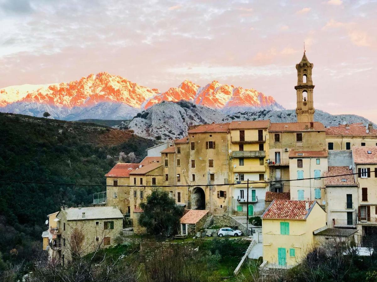 Charmant F2 Dans Joli Village Corse Omessa Dış mekan fotoğraf