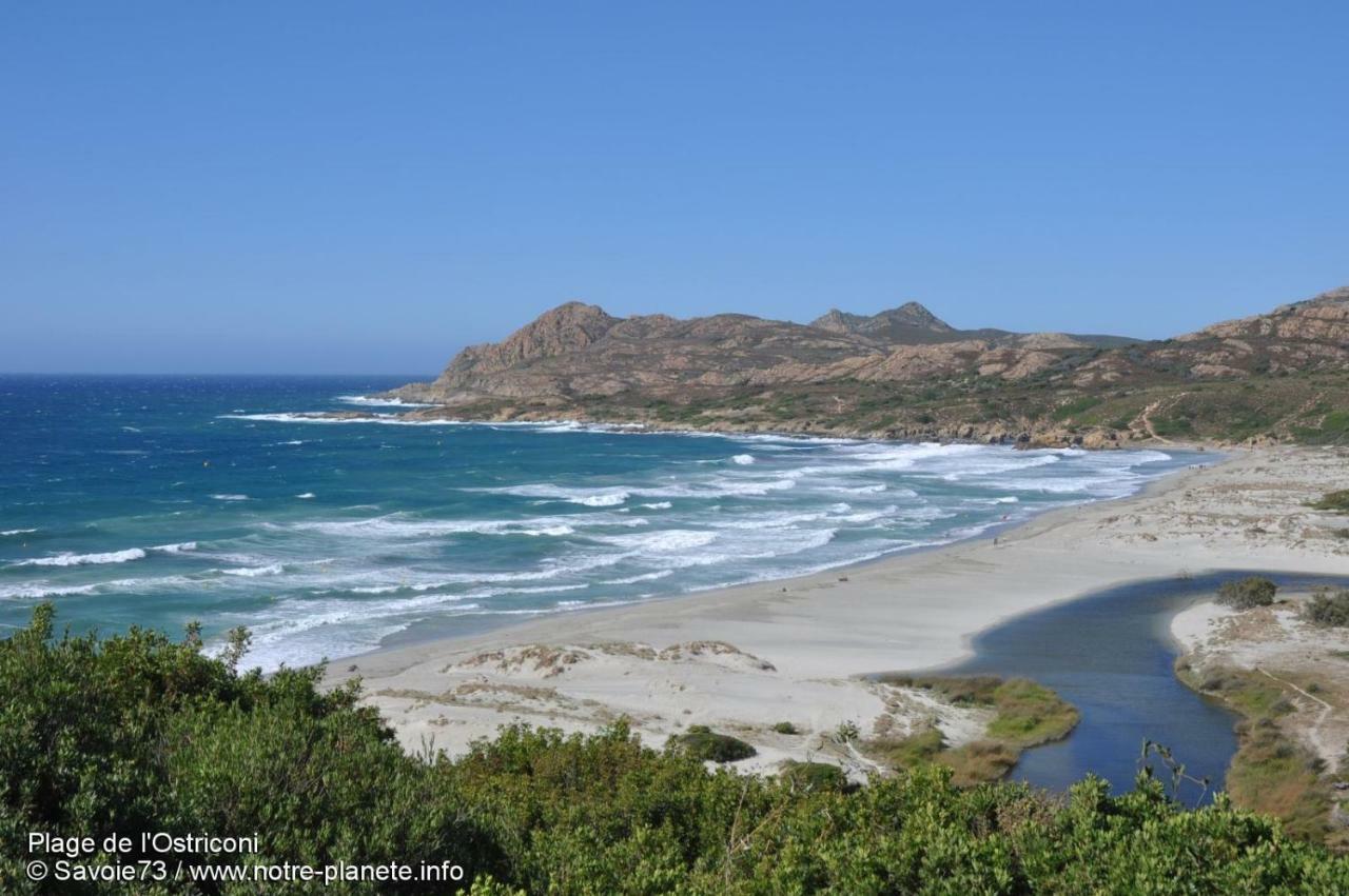 Charmant F2 Dans Joli Village Corse Omessa Dış mekan fotoğraf